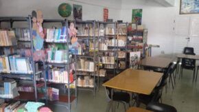 Sistema de bibliotecas públicas vive el verano