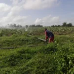 Entregarán modernos sistemas de riego a agricultores de Taguasco