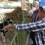 Visita Díaz-Canel provincia de Cienfuegos (+ fotos)