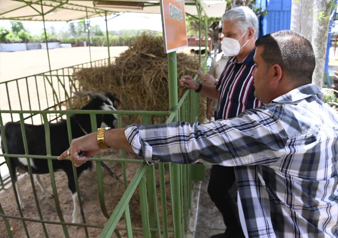 Visita Díaz-Canel provincia de Cienfuegos (+ fotos)