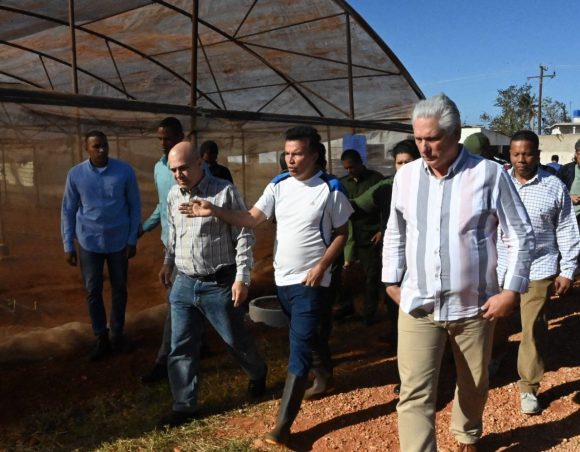 Chequea presidente cubano labores de recuperación en Artemisa