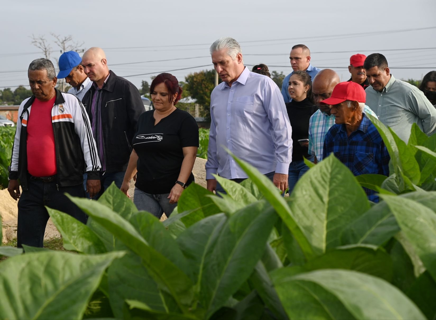 Díaz-Canel: Cuba sí puede avanzar y crecer