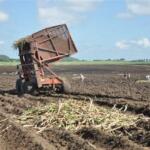 Laboran en Cabaiguán por la recuperación cañera