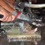 PESCASPIR, mejor empresa pesquera del país