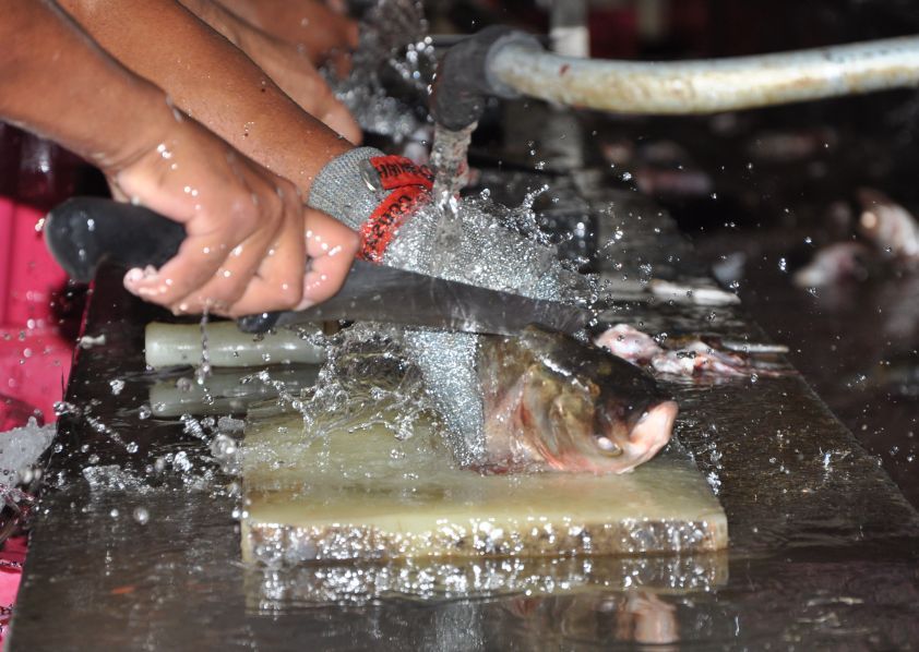 PESCASPIR, mejor empresa pesquera del país