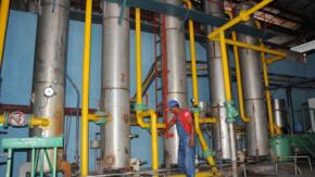 Destilería Paraíso despide otro año de excelente comportamiento