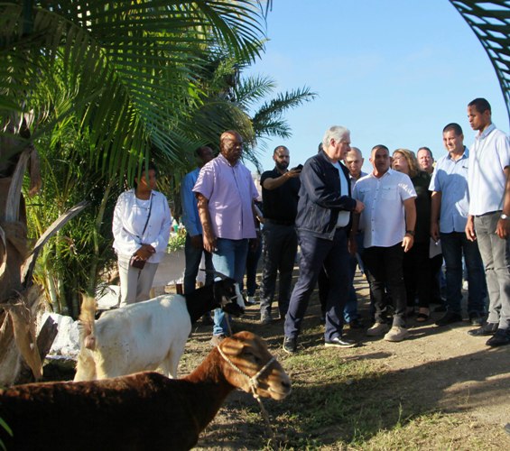 Escenas de la visita del mandatario cubano al organopónico El Gigante. Foto: Oscar Alfonso Sosa.