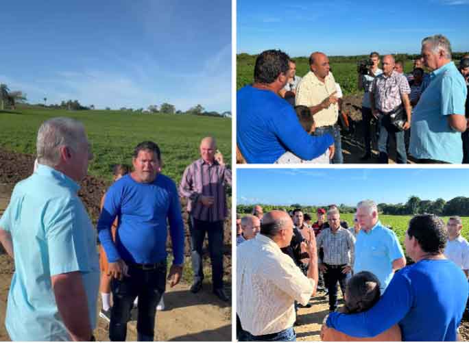 Recorre Díaz-Canel áreas agrícolas y ganaderas en el centro de Cuba