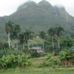 Ecosistemas de montaña, un escenario vital para la vida