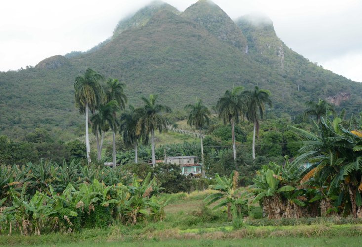 Ecosistemas de montaña, un escenario vital para la vida