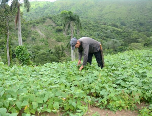 También las montañas son fuente proveedora de alimentos. Foto: Oscar Alfonso Sosa.
