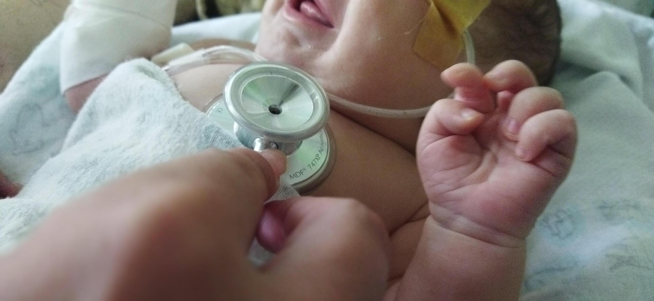 Sancti Spíritus: Crónica de la vida que se abrió paso en 2025