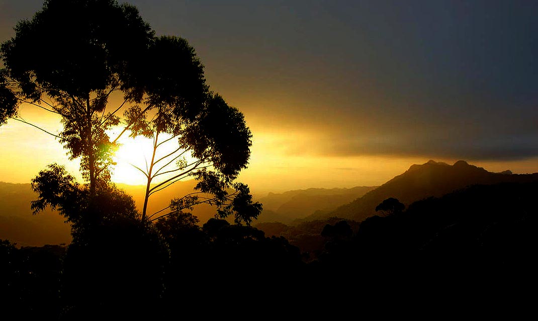 Los privilegios del ecosistema montañoso del Escambray