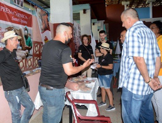 Novedades en Expo muestran ingenio de aniristas