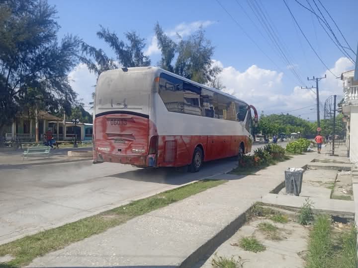 Ómnibus de TRANSMETRO favorecen el bolsillo de los trinitarios