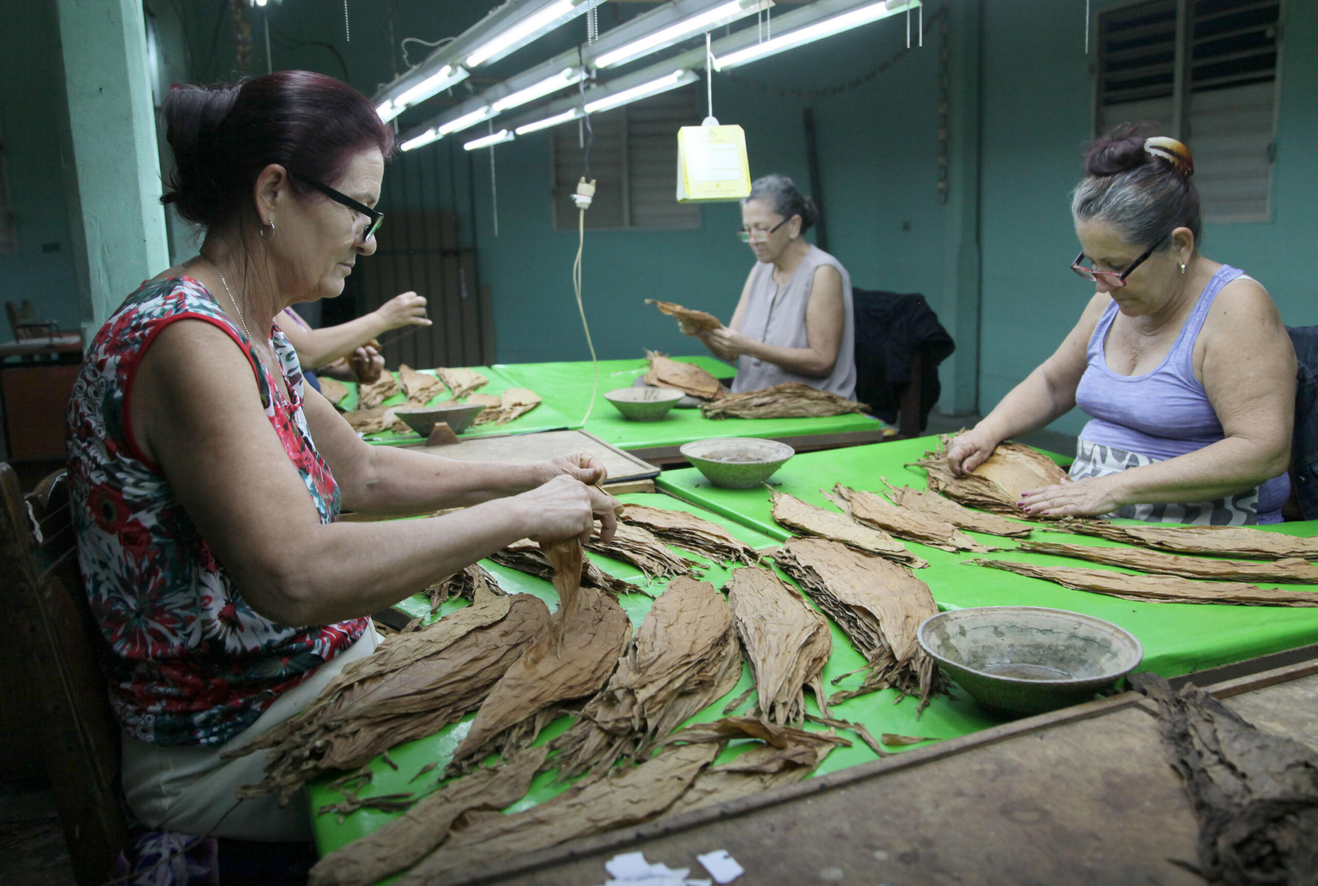Con las mujeres cubanas, cada pretensión es viable