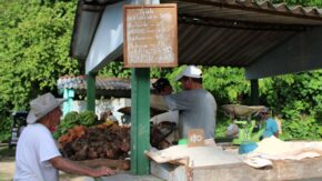 Producción de alimentos en Cabaiguán entre discretos avances y reiterados retrocesos