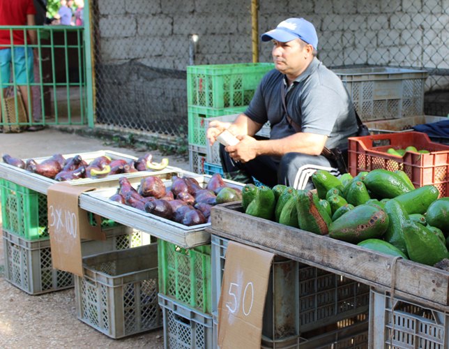 Feria, entre ofertas, precios y la propina del idioma