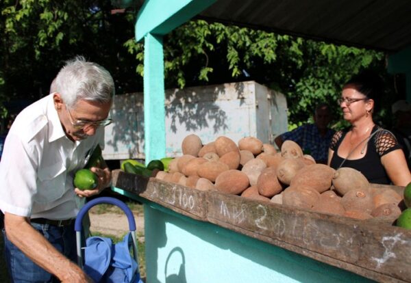 Tomarse un batido de mamey colorado o degustarlo al natural pone a pensar a cualquiera. Foto: Oscar Alfonso Sosa.
