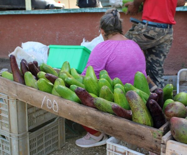 Dar la espalda al cliente y dejar que este choque solito con el precio, parece ser una alternativa de algunos vendedores. Foto: Oscar Alfonso Sosa.