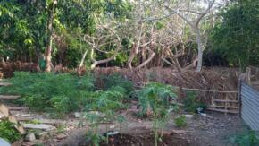 Finca La Mulata demuestra que otra agricultura es posible