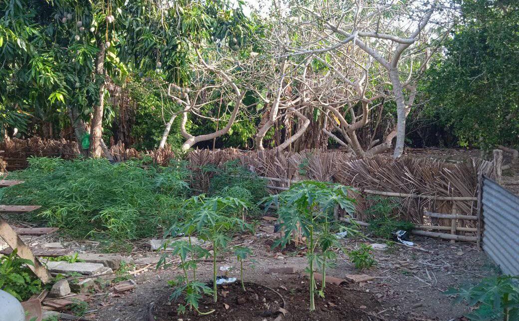 Finca La Mulata demuestra que otra agricultura es posible