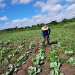 Ciencia: aliada de la producción en la finca La Victoria
