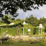 Instituto Caribeño de Agroecología promueve emprendimientos femeninos