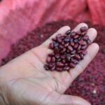 Venta de arroz y frijoles a precio diferenciado alcanzará a varios municipios espirituanos
