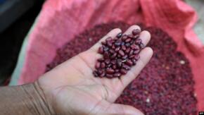Venta de arroz y frijoles a precio diferenciado alcanzará a varios municipios espirituanos