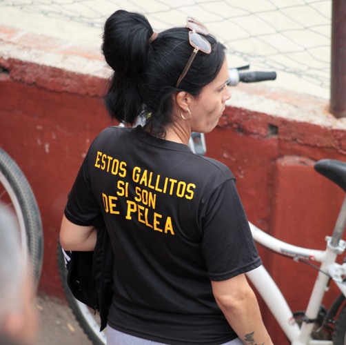 Pinceladas del desafío, desde las gradas. Foto: Oscar Alfonso Sosa.