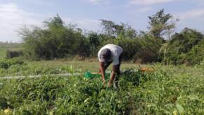 Finca La Victoria, modelo de agricultura sostenible
