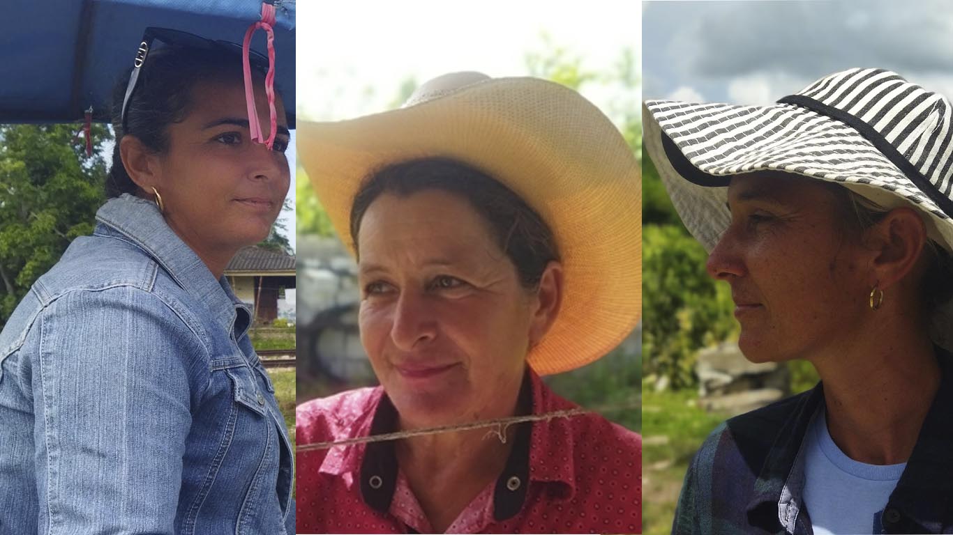 Guajiras de corazón (+ fotos y videos)