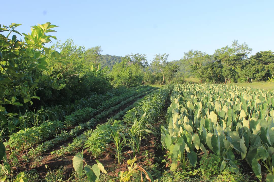 La finca de Casimiro: sistema productivo diverso y gastronomía reconocida