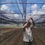 Cooperativa Jesús Menéndez apuesta por la diversificación productiva
