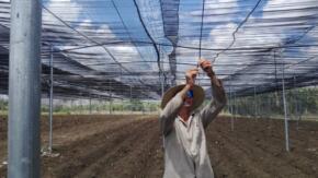 Cooperativa Jesús Menéndez apuesta por la diversificación productiva