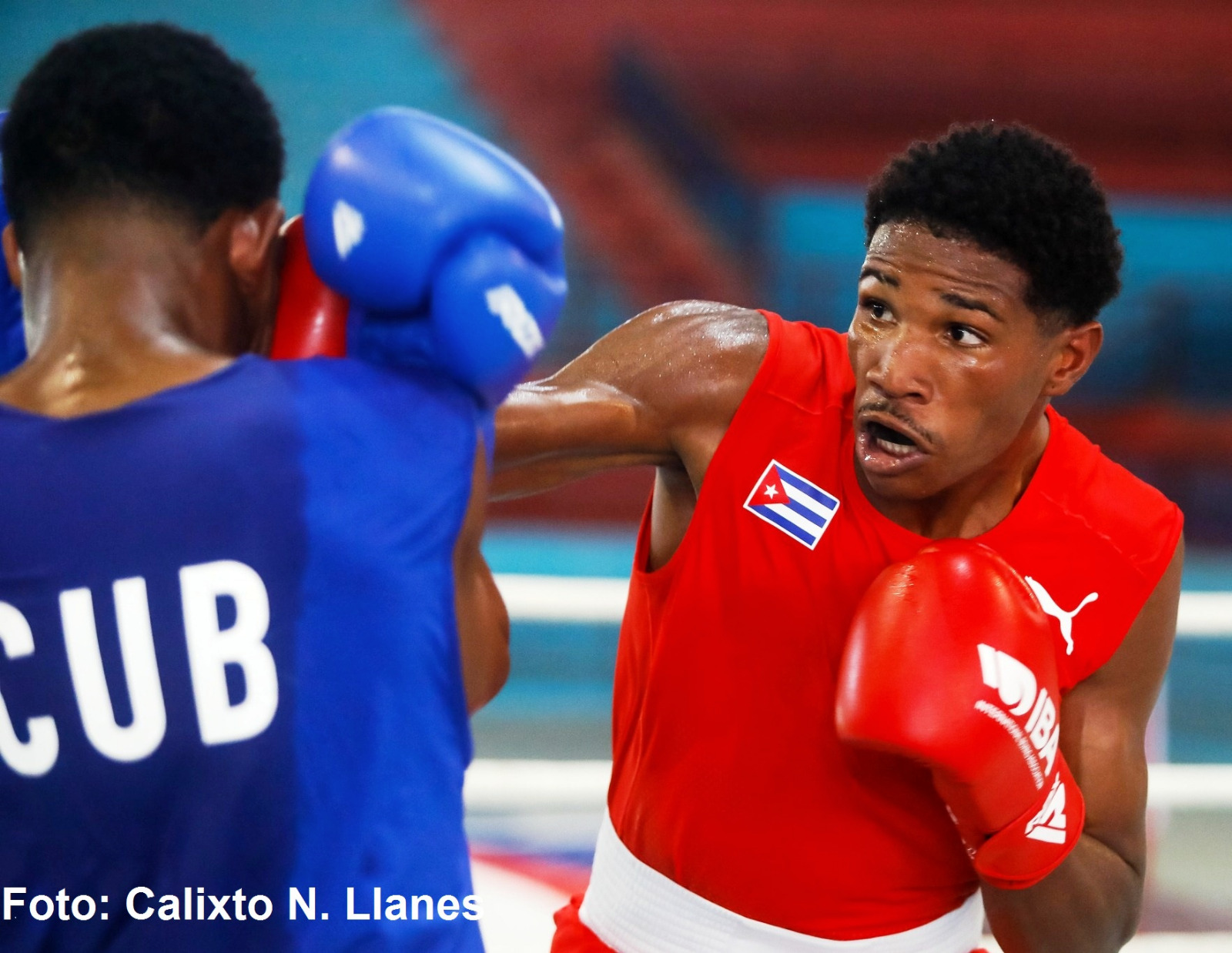 Boxeadores espirituanos imponen calidad en Torneo Nacional Playa Girón