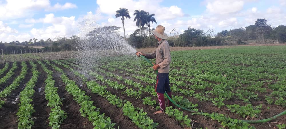 Bondades de la agroecología para producir alimentos