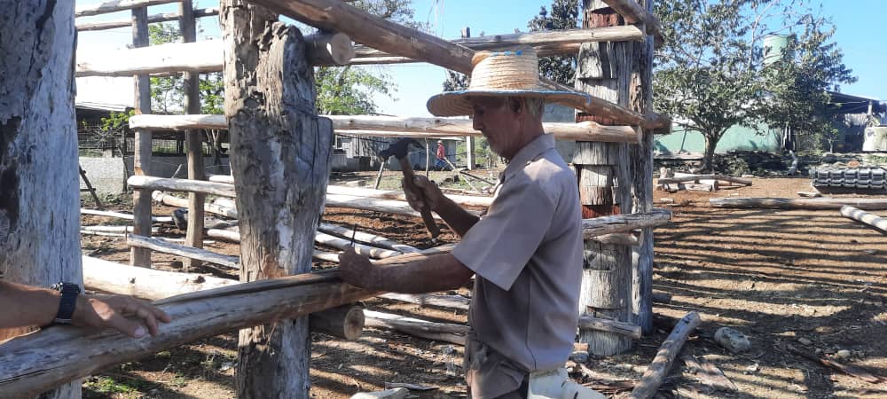 Artesano de las casas de tabaco