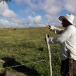 Un joven campesino taguasquense de talla extra (+ fotos)