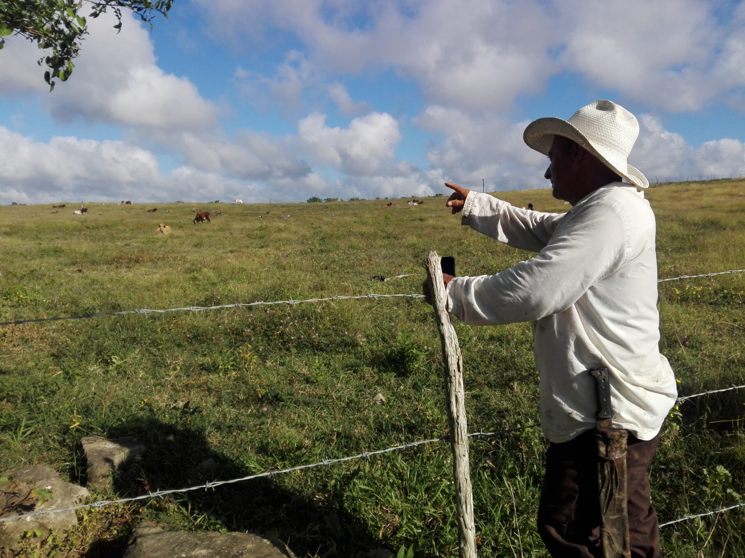 Un joven campesino taguasquense de talla extra (+ fotos)