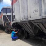 Asegura Ferroazúcar traslado del grano hacia otras provincias del país