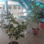 IPVCE de Sancti Spiritus incentiva la formación de estudiantes talentos