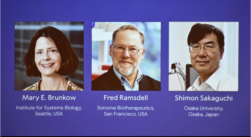 Premio Nobel de Medicina 2025