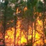 Priorizan en Cabaiguán enfrentamiento a incendios forestales