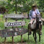 Jarico, un regalo de la naturaleza