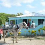 Proyecto infantil El Payacín hace palpitar la cultura en la serranía de Fomento