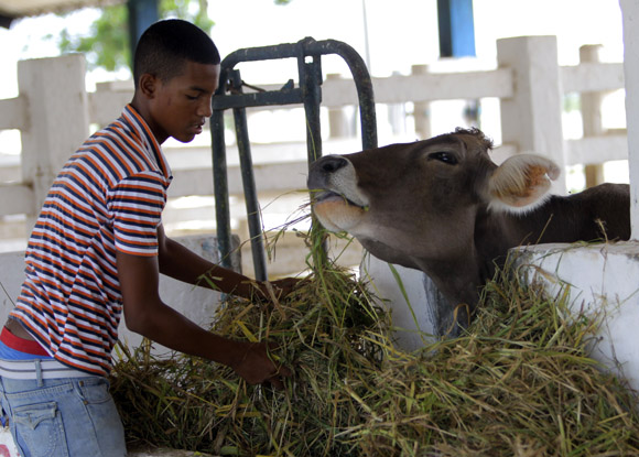 ¿Me voy pa’l pueblo? El dilema de los jóvenes campesinos en Cuba