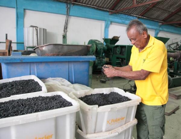 Todo el plástico reciclado pasa por un proceso que lo deja listo para fundir y conformar. Foto: Oscar Alfonso Sosa.