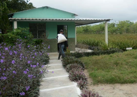 La finca es resultado del proceso inversionista que se desarrolla en la Empresa Pecuaria Venegas en aras de potenciar el desarrollo ganadero. Foto: Oscar Alfonso Sosa.